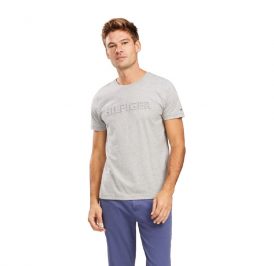 Camiseta Tommy Hilfiger Masculino MW0MW12610-P9V-00 M Cloud Heather - Imagem 1