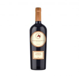 Vinho Propietarios De Caballos Cabernet 750ML - 7798114090774 - Imagem 1