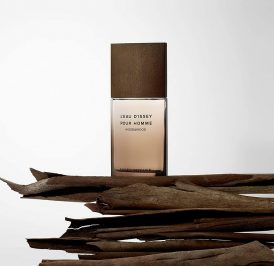 PERFUME WOOD&WOOD MEN 100ML EDP-19 - 3423478509351 PROVAD - Imagem 1