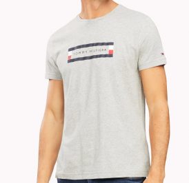 Camiseta Tommy Hilfiger Masculino MW0MW12510-P9V-00 M Cloud Heather - Imagem 1
