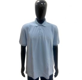 Camiseta INDIVIDUAL Polo Masculino 08-75-0147-002 G - Azul Claro - Imagem 1