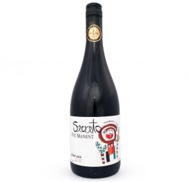 Vinho Viu Manent Secreto Pinot Noir 750ML - 7804314945711 - Imagem 1