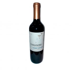 Vinho TerraNoble Cabernet Sauvignon 750ML - 7804361001767 - Imagem 1