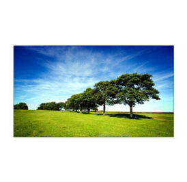 Monitor Samsung LH46UDCBLBB/ZA 46" Full HD VGA/HDMI Bivolt - Imagem 2