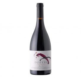 Vinho Indomita Varietal Duette Pinot Noir 750ML - 7809623801635 - Imagem 1