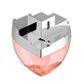 Perfume DKNY My NY Eau de Parfum Feminino 50ML - Imagem 2