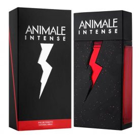 Perfume Animale Intense Eau de Toilette Masculino 50ML - Imagem 1