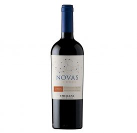 Vinho Novas Cabernet 750ML - 7804320521879 - Imagem 1