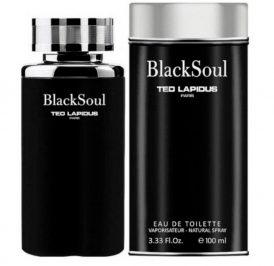 Perfume Ted Lapidus Black Soul Eau de Toilette Masculino 100ML - Imagem 1