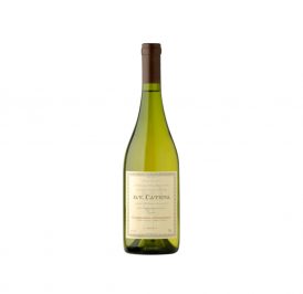 Vinho DV Catena Chardonnay 2022 750ML - Imagem 1