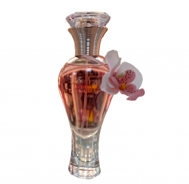 Perfume Lomani Orchidée Sauvage Eau de Parfum Feminino 100ML - Imagem 2