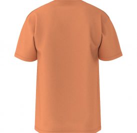 Camiseta VANS Masculino Classic Print Box L – Laranja VN0A5E7YD05 - Imagem 2