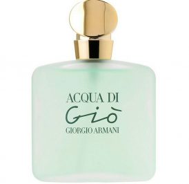 Perfume Giorgio Armani Acqua Di Gio Eau de Toilette Feminino 100ML - Imagem 1