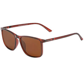 Óculos KINGSEVEN Unissex 7365 C5 Clear Brown - Imagem 1